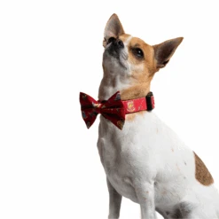 Harry Potter Pet Bowtie -Pet Supplies Shop 2 petverse harry potter pet bowtie