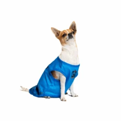 Ravenclaw House Dog Shirt -Pet Supplies Shop 2 petverse harry potter ravenclaw dog shirt