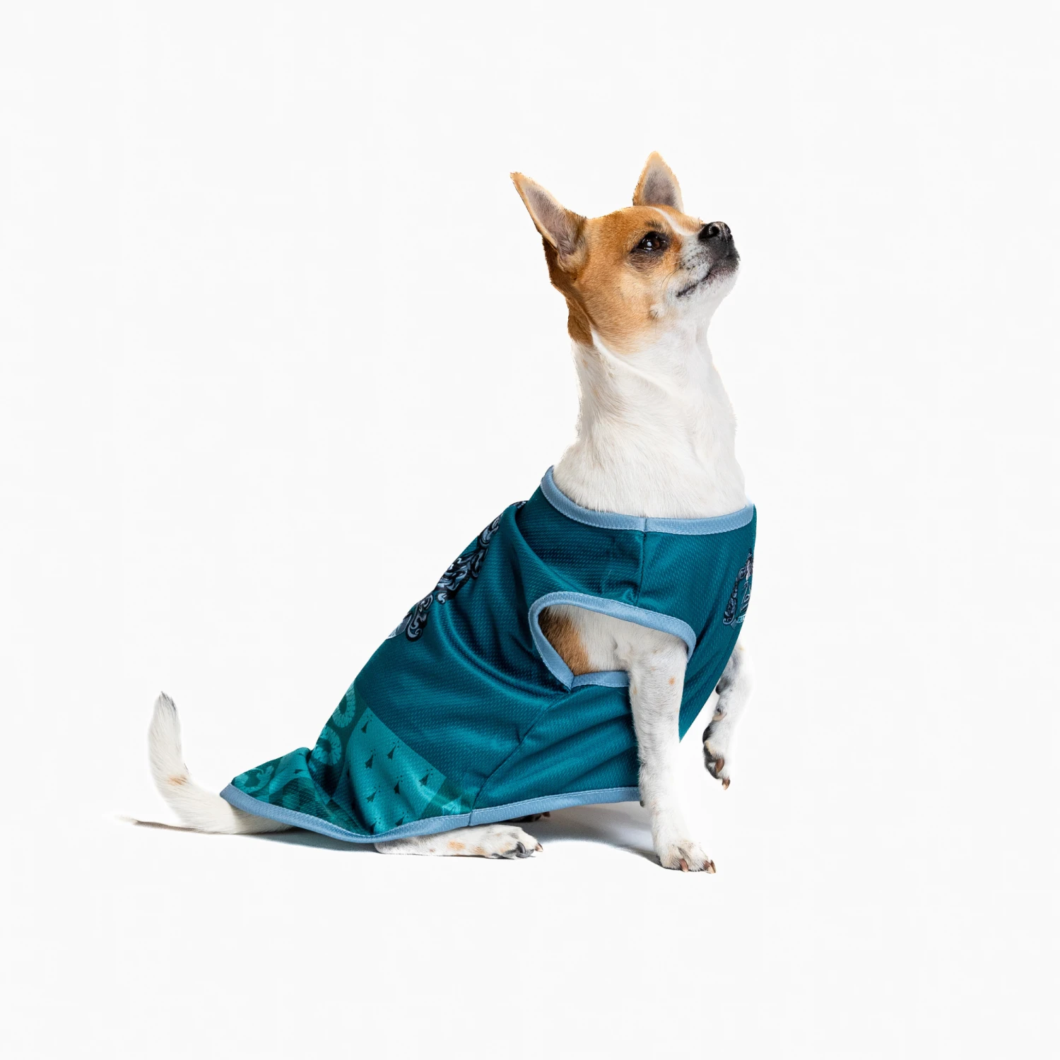 Harry Potter Slytherin House Dog Shirt 5 Harry Potter Slytherin House Dog Shirt - Image 3