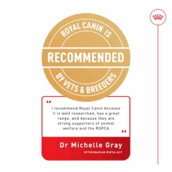 Royal Canin Maxi Adult Wet Dog Food Pouches 140g X 10 13 Royal Canin Maxi Adult Wet Dog Food Pouches 140g X 10 -Pet Supplies Shop 2 royal canin maxi adult wet dog food pouches 140g x 10