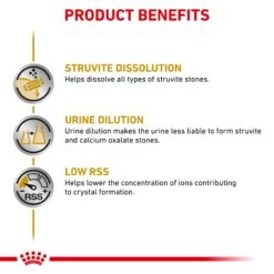 Royal Canin Veterinary Diet Urinary Adult Wet Dog Food 410g X 12 12 Royal Canin Veterinary Diet Urinary Adult Wet Dog Food 410g X 12 -Pet Supplies Shop 2 royal canin veterinary diet urinary adult wet dog food 410g x 12 0036bcbc ee8f 4a34 89fb e87b081b9707