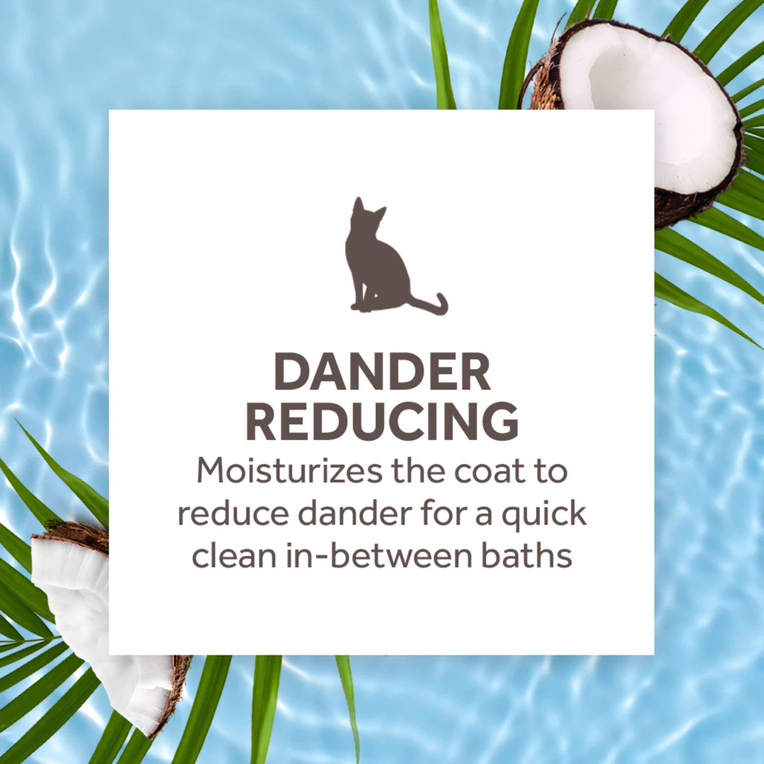 TropiClean Waterless Dander Reducing Cat Shampoo 220ml 5 TropiClean Waterless Dander Reducing Cat Shampoo 220ml - Image 3