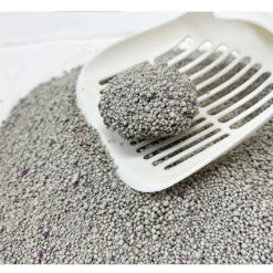 ZODIAC Clumping Cat Litter Lavender 6kg -Pet Supplies Shop 2 zodiac clumping cat litter lavender 6kg