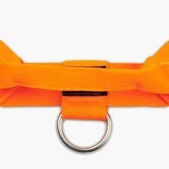 Dog Friendly Co. Dog Harness Hi-Vis Orange 11 Dog Friendly Co. Dog Harness Hi-Vis Orange -Pet Supplies Shop 2022 02 22 DFC S19 01