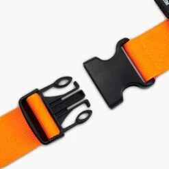 Dog Friendly Co. Dog Harness Hi-Vis Orange 10 Dog Friendly Co. Dog Harness Hi-Vis Orange -Pet Supplies Shop 2022 02 22 DFC S19 02