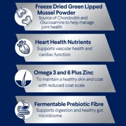 Advance Chicken And Rice Large Breed Adult Dry Dog Food -Pet Supplies Shop 3 advance chicken and rice large breed adult dry dog food