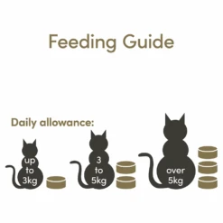 Applaws Natural Wet Cat Tin Chicken 70g X 24 13 Applaws Natural Wet Cat Tin Chicken 70g X 24 -Pet Supplies Shop 3 applaws natural wet cat tin chicken 70g x 24 dcb25b3c 658f 4c97 8ef3 16ab81fcd18e