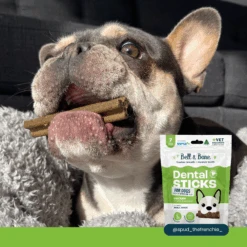 Bell & Bone Dental Sticks Chicken Mint And Seaweed -Pet Supplies Shop 3 bell bone dog dental sticks chicken mint and seaweed 91429fb9 ba2f 40a3 a82d cd72b13e1f94
