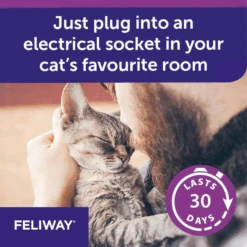CEVA Feliway Refill 12 CEVA Feliway Refill -Pet Supplies Shop 3 feliway refill