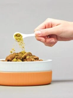 Field Day Dog Joint Support Wholefood Powder 220g -Pet Supplies Shop 3 field day dog joint support wholefood powder 220g