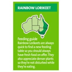 Harmony Lorikeet & Honeyeater Mix -Pet Supplies Shop 3 harmony lorikeet honeyeater mix