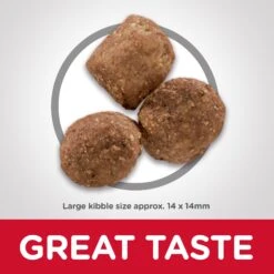 Hill's Science Diet Adult Healthy Mobility Large Breed Dry Dog Food 12kg -Pet Supplies Shop 3 hill s science diet adult healthy mobility large breed dry dog food 12kg