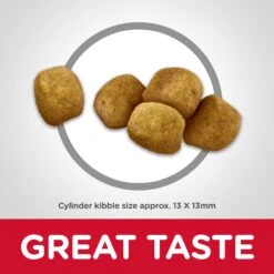 Hill's Science Diet Adult Oral Care Dry Cat Food -Pet Supplies Shop 3 hill s science diet adult oral care dry cat food