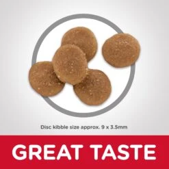 Hill's Science Diet Adult Sensitive Stomach & Skin Dry Cat Food -Pet Supplies Shop 3 hill s science diet adult sensitive stomach skin dry cat food