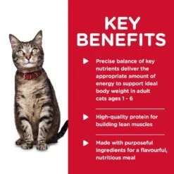 Hill's Science Diet Adult Tender Chicken Dinner Canned Cat Food 156g X 24 15 Hill's Science Diet Adult Tender Chicken Dinner Canned Cat Food 156g X 24 -Pet Supplies Shop 3 hill s science diet adult tender chicken dinner canned cat food 156g x 24