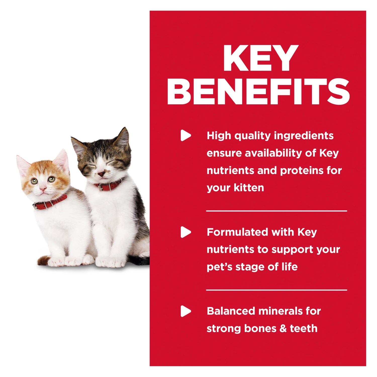 Hill's Science Diet Kitten Tender Chicken Dinner Canned Cat Food 156g X 24 6 Hill's Science Diet Kitten Tender Chicken Dinner Canned Cat Food 156g X 24 - Image 4