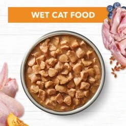 Ivory Coat Grain Free Adult Chicken Gravy Cat Wet Food 85g X 12 17 Ivory Coat Grain Free Adult Chicken Gravy Cat Wet Food 85g X 12 -Pet Supplies Shop 3 ivory coat adult chicken gravy cat wet food 85g x 12