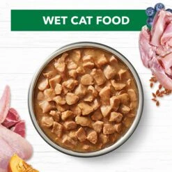 Ivory Coat Grain Free Adult Chicken & Lamb In Gravy Cat Wet Food 85g X 12 -Pet Supplies Shop 3 ivory coat adult chicken lamb in gravy cat wet food 85g x 12