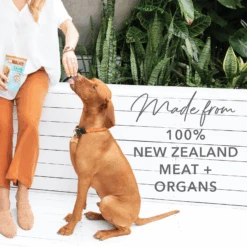 K9 Natural Grain Free Freeze Dried Dog Treats Beef Bites 50g 12 K9 Natural Grain Free Freeze Dried Dog Treats Beef Bites 50g -Pet Supplies Shop 3 k9 natural grain free freeze dried dog treats beef bites 50g