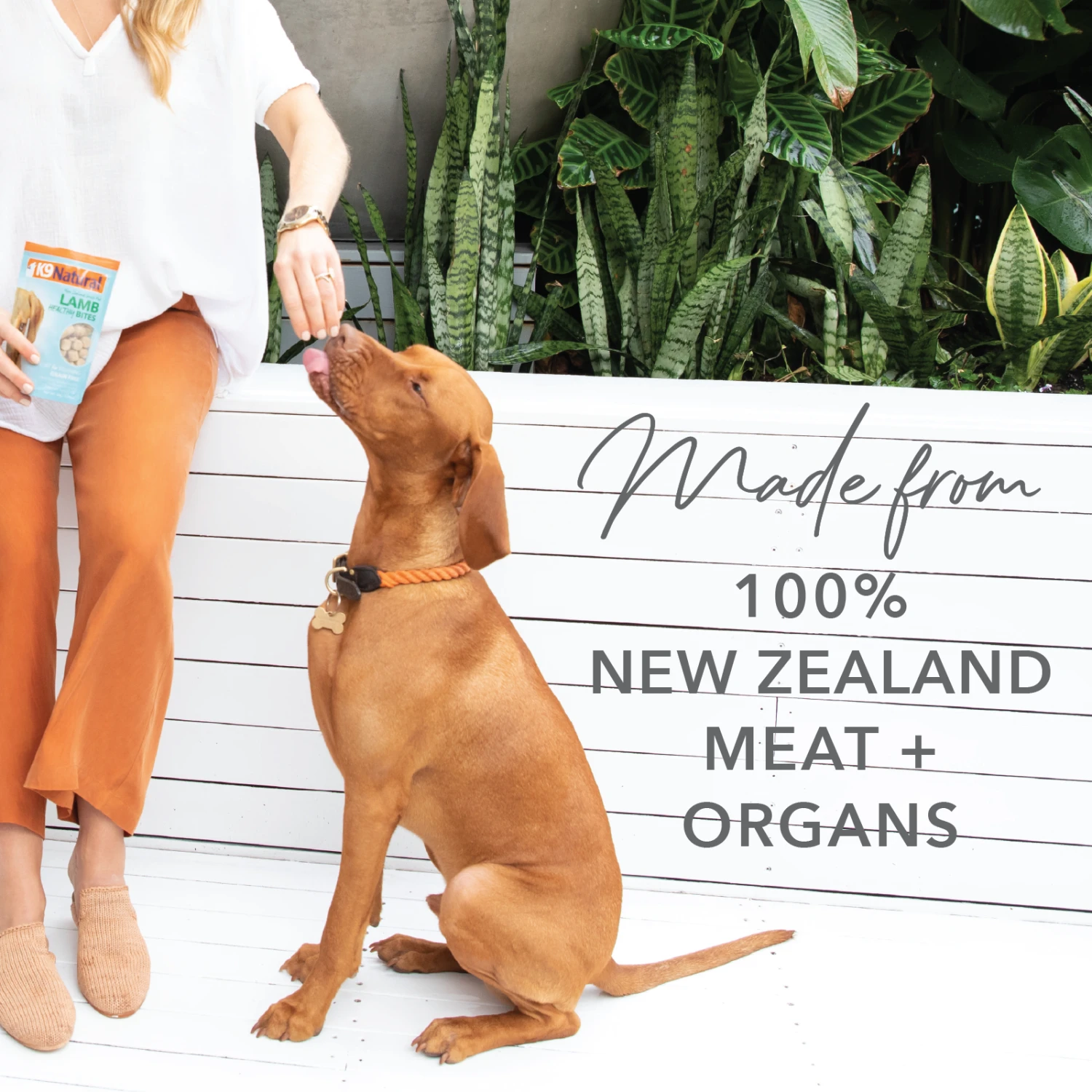 K9 Natural Grain Free Freeze Dried Dog Treats Beef Bites 50g 6 K9 Natural Grain Free Freeze Dried Dog Treats Beef Bites 50g - Image 4