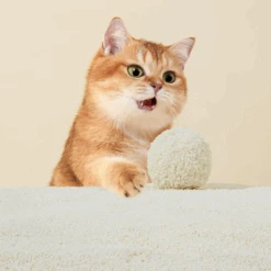 Michu Wonder Plant Based Cat Litter Unscented 2.5kg -Pet Supplies Shop 3 michu wonder plant based cat litter unscented 2 5kg