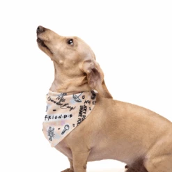 Petverse Friends Pet Bandana 10 Petverse Friends Pet Bandana -Pet Supplies Shop 3 petverse friends pet bandana