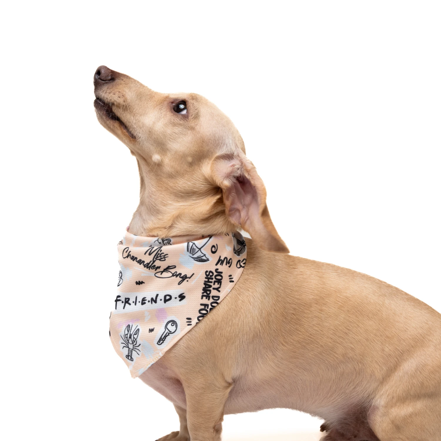 Petverse Friends Pet Bandana 6 Petverse Friends Pet Bandana - Image 4