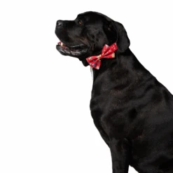 Harry Potter Pet Bowtie -Pet Supplies Shop 3 petverse harry potter pet bowtie