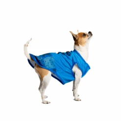 Ravenclaw House Dog Shirt -Pet Supplies Shop 3 petverse harry potter ravenclaw dog shirt