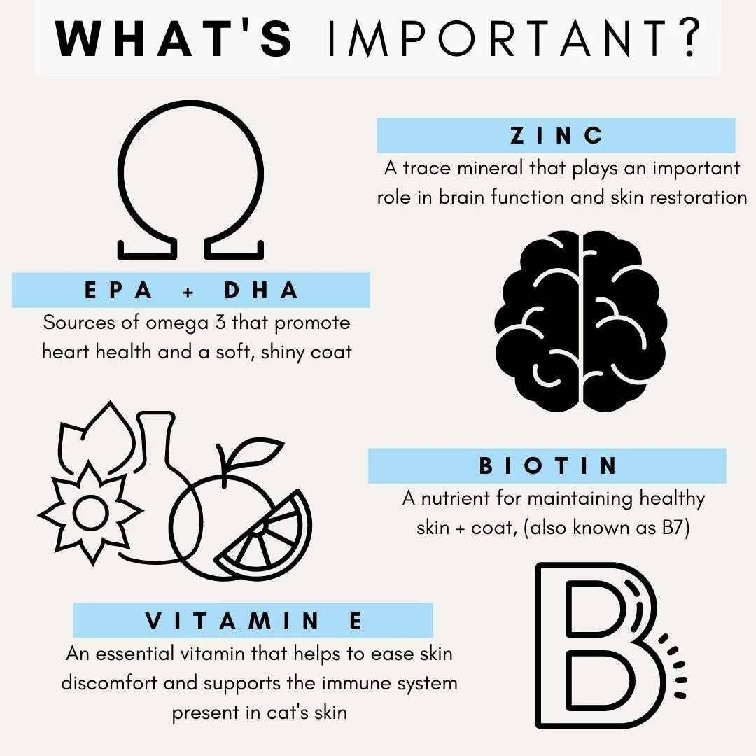 Petz Park Skin + Coat For Cats 72g 6 Petz Park Skin + Coat For Cats 72g - Image 4