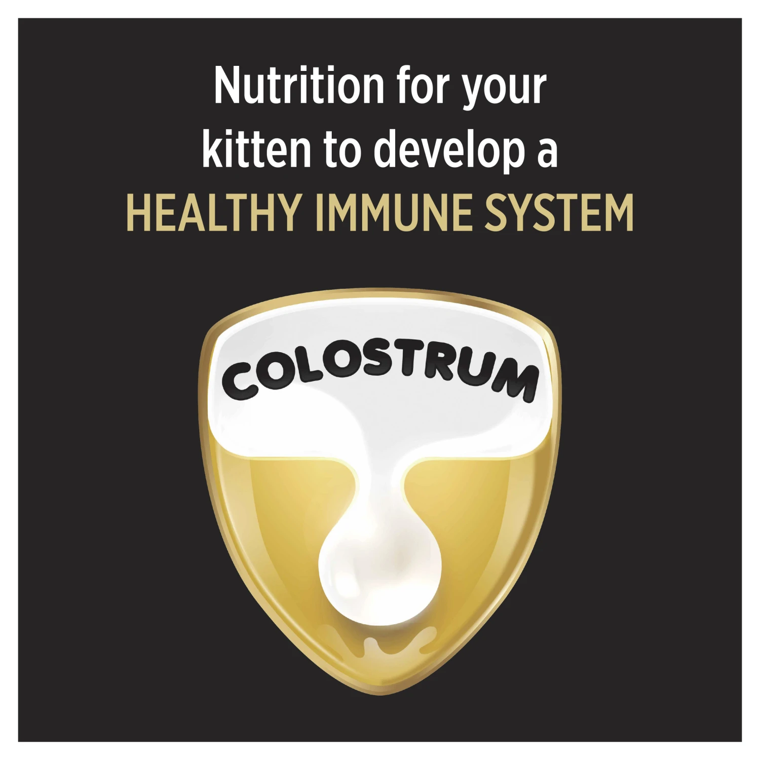 Pro Plan Chicken Kitten Dry Cat Food 3.5kg 6 Pro Plan Chicken Kitten Dry Cat Food 3.5kg - Image 4