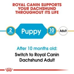 Royal Canin Dachshund Puppy Dry Dog Food 1.5kg 14 Royal Canin Dachshund Puppy Dry Dog Food 1.5kg -Pet Supplies Shop 3 royal canin dachshund puppy dry dog food 55ae9be1 f390 4718 b770 4cc0bc47f71c