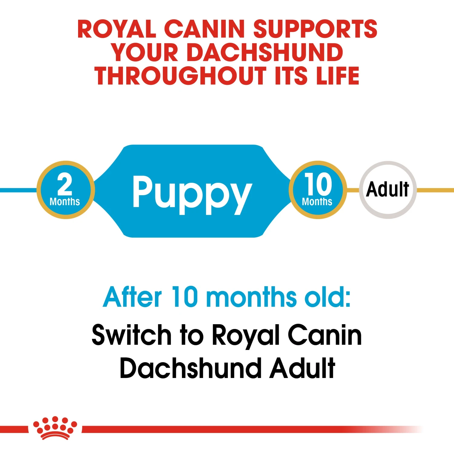 Royal Canin Dachshund Puppy Dry Dog Food 1.5kg 6 Royal Canin Dachshund Puppy Dry Dog Food 1.5kg - Image 4