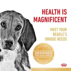 Royal Canin Dog Beagle Adult Dry Food 13 Royal Canin Dog Beagle Adult Dry Food -Pet Supplies Shop 3 royal canin dog beagle adult dry food 4e7d4a55 7c3a 4237 a8dd 46773cbc33ed