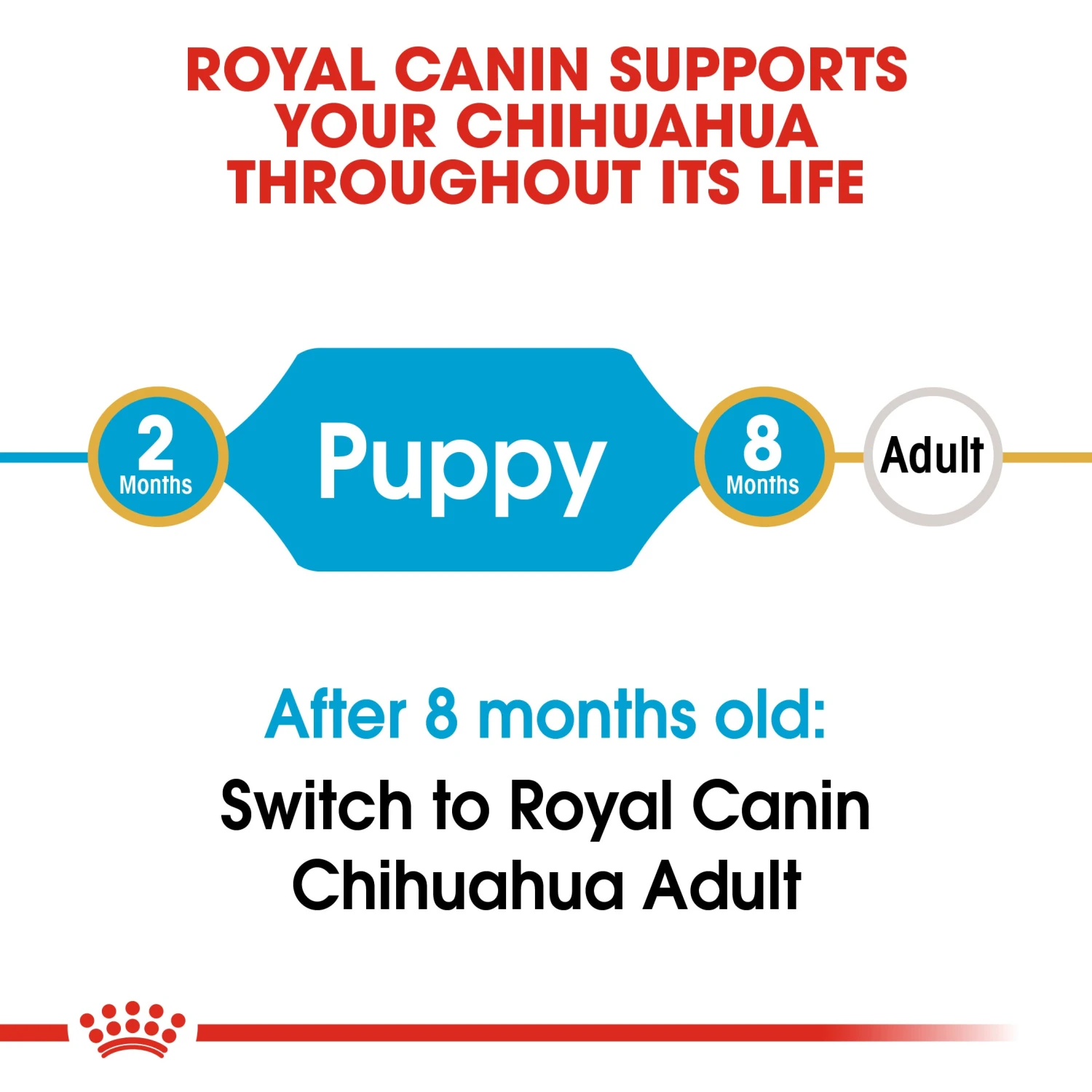 Royal Canin Dog Chihuahua Puppy Dry Food 1.5kg 6 Royal Canin Dog Chihuahua Puppy Dry Food 1.5kg - Image 4