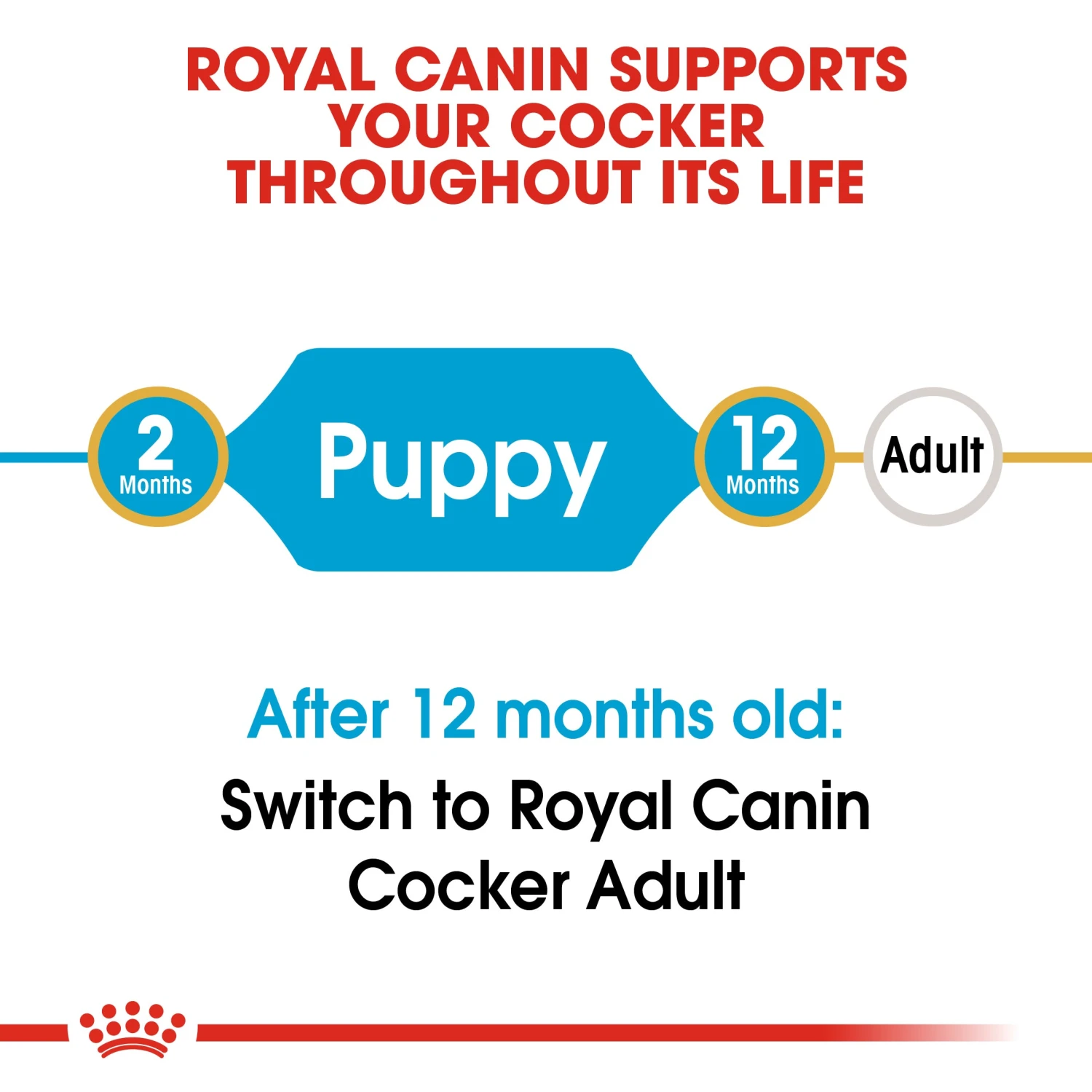Royal Canin Dog Cocker Spaniel Puppy Dry Food 3kg 6 Royal Canin Dog Cocker Spaniel Puppy Dry Food 3kg - Image 4