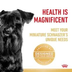 Royal Canin Dog Miniature Schnauzer Adult Dry Food 12 Royal Canin Dog Miniature Schnauzer Adult Dry Food -Pet Supplies Shop 3 royal canin dog miniature schnauzer adult dry food 0930a8f7 2010 4b69 8938 6cf435bde336
