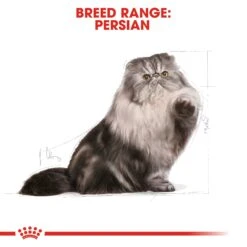 Royal Canin Persian Adult Dry Cat Food 2kg -Pet Supplies Shop 3 royal canin persian adult dry cat food 2kg