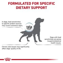 Royal Canin Veterinary Diet Anallergenic Adult Dry Dog Food 13 Royal Canin Veterinary Diet Anallergenic Adult Dry Dog Food -Pet Supplies Shop 3 royal canin veterinary diet anallergenic adult dry dog food 84327e32 5f94 4696 9e05 43d23887d558