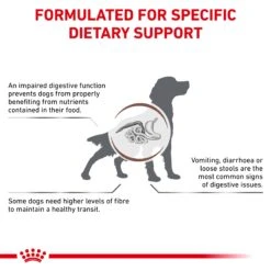 Royal Canin Veterinary Diet Gastrointestinal High Fibre Adult Dry Dog Food 14 Royal Canin Veterinary Diet Gastrointestinal High Fibre Adult Dry Dog Food -Pet Supplies Shop 3 royal canin veterinary diet gastrointestinal high fibre adult dry dog food 874d44d0 79eb 4380 b390 ace5318b37c6
