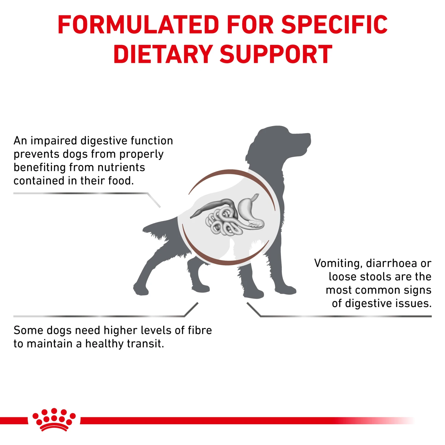 Royal Canin Veterinary Diet Gastrointestinal High Fibre Adult Dry Dog Food 6 Royal Canin Veterinary Diet Gastrointestinal High Fibre Adult Dry Dog Food - Image 4