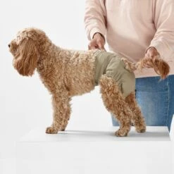 Snooza Washable Nappy Pant For Female Dogs 2 Pack -Pet Supplies Shop 3 snooza washable nappy pant for female dogs 2 pack