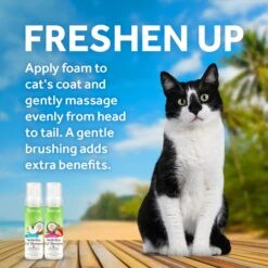 TropiClean Waterless Deep Cleansing Cat Shampoo 220ml -Pet Supplies Shop 3 tropiclean waterless deep cleansing cat shampoo 220ml