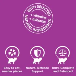 Whiskas Favourites Kitten Mixed Favourites In Jelly 85g X 12 13 Whiskas Favourites Kitten Mixed Favourites In Jelly 85g X 12 -Pet Supplies Shop 3 whiskas favourites kitten mixed favourites in jelly 85g x 12