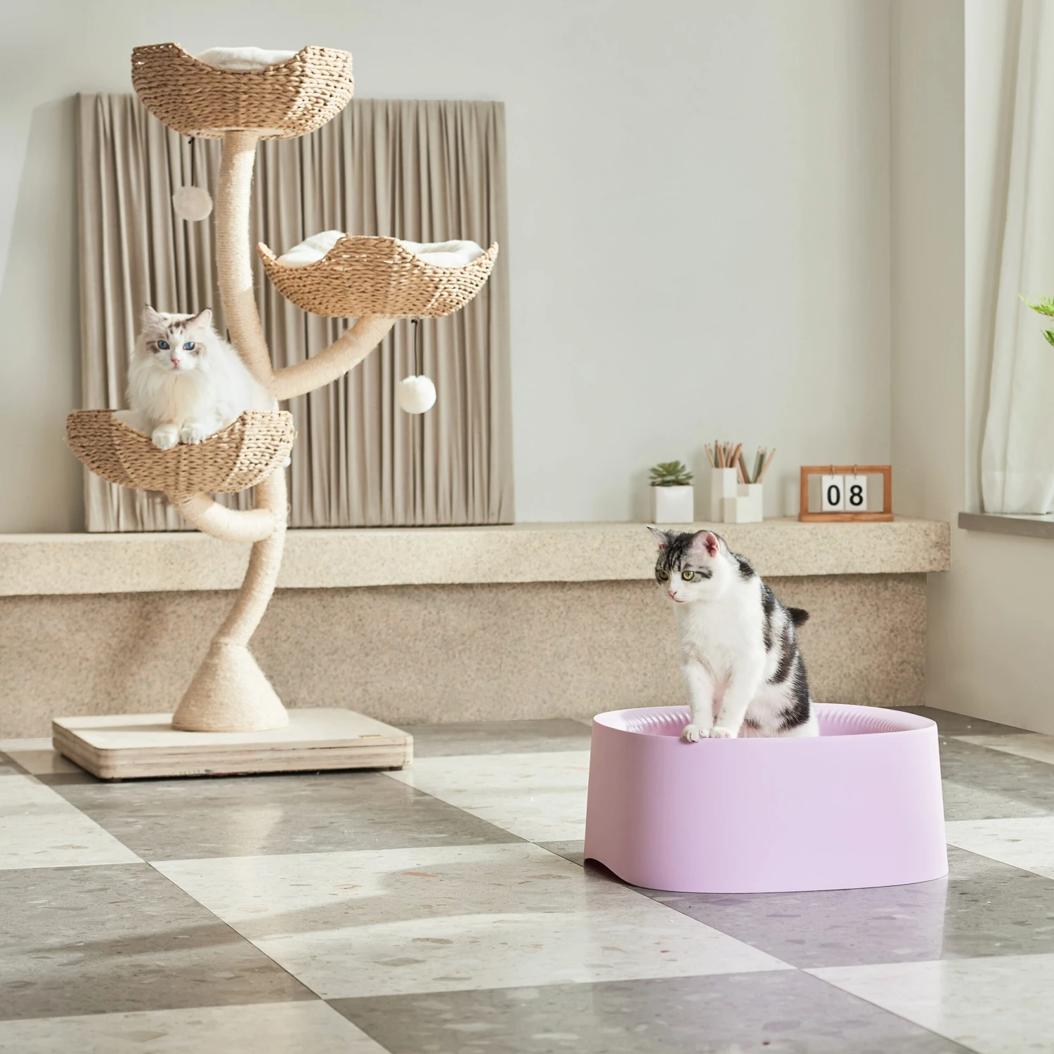 Michu Macaron Open High Edge Extra Large Cat Litter Box Taro 6 Michu Macaron Open High Edge Extra Large Cat Litter Box Taro - Image 4