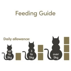 Applaws Natural Wet Cat Pouch Tuna & Salmon 70g X 16 -Pet Supplies Shop 4 applaws natural wet cat pouch tuna salmon 70g x 16