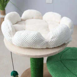 CATIO Camelia Flower 2 Level Cat Scratching Tree White -Pet Supplies Shop 4 catio camelia flower 2 level cat scratching tree white