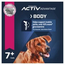 Eukanuba Senior Large Breed Dry Dog Food 14kg -Pet Supplies Shop 4 eukanuba senior large breed dry dog food 14kg 236e53c2 e5bc 4989 8c98 d337d3dd4841