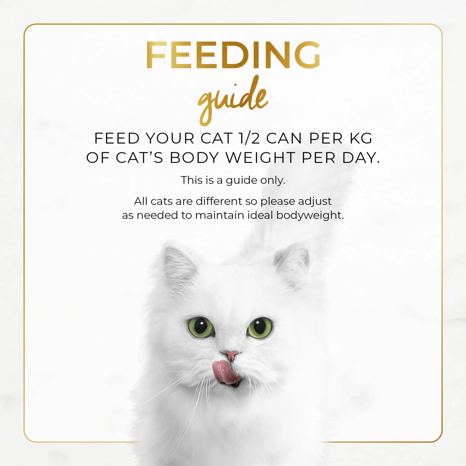 Fancy Feast Classic Pate Chicken Feast Gourmet Wet Cat Food 85g X 24 7 Fancy Feast Classic Pate Chicken Feast Gourmet Wet Cat Food 85g X 24 - Image 5