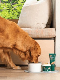 Field Day Dog Joint Support Wholefood Powder 220g -Pet Supplies Shop 4 field day dog joint support wholefood powder 220g